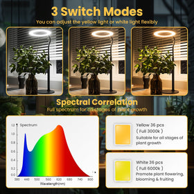 bseah grow light auto timer 3/9/12h ensures consistent daily lighting