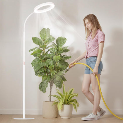 Bseah plant grow light with full spectrum LEDs illuminating indoor herbs and succulents at home