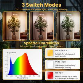 Bseah pedestal stand keeps the light steady for reliable indoor gardening