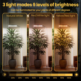 Bseah plant grow light timer settings automate daily cycles