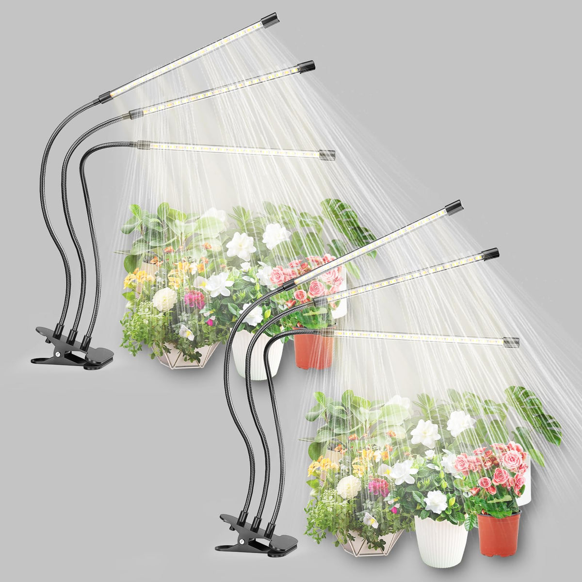 Bseah plant light two-pack mounted above indoor plants for growth