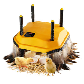 Bsemax 10x10 inch brooder plate with temperature display for precise warmth