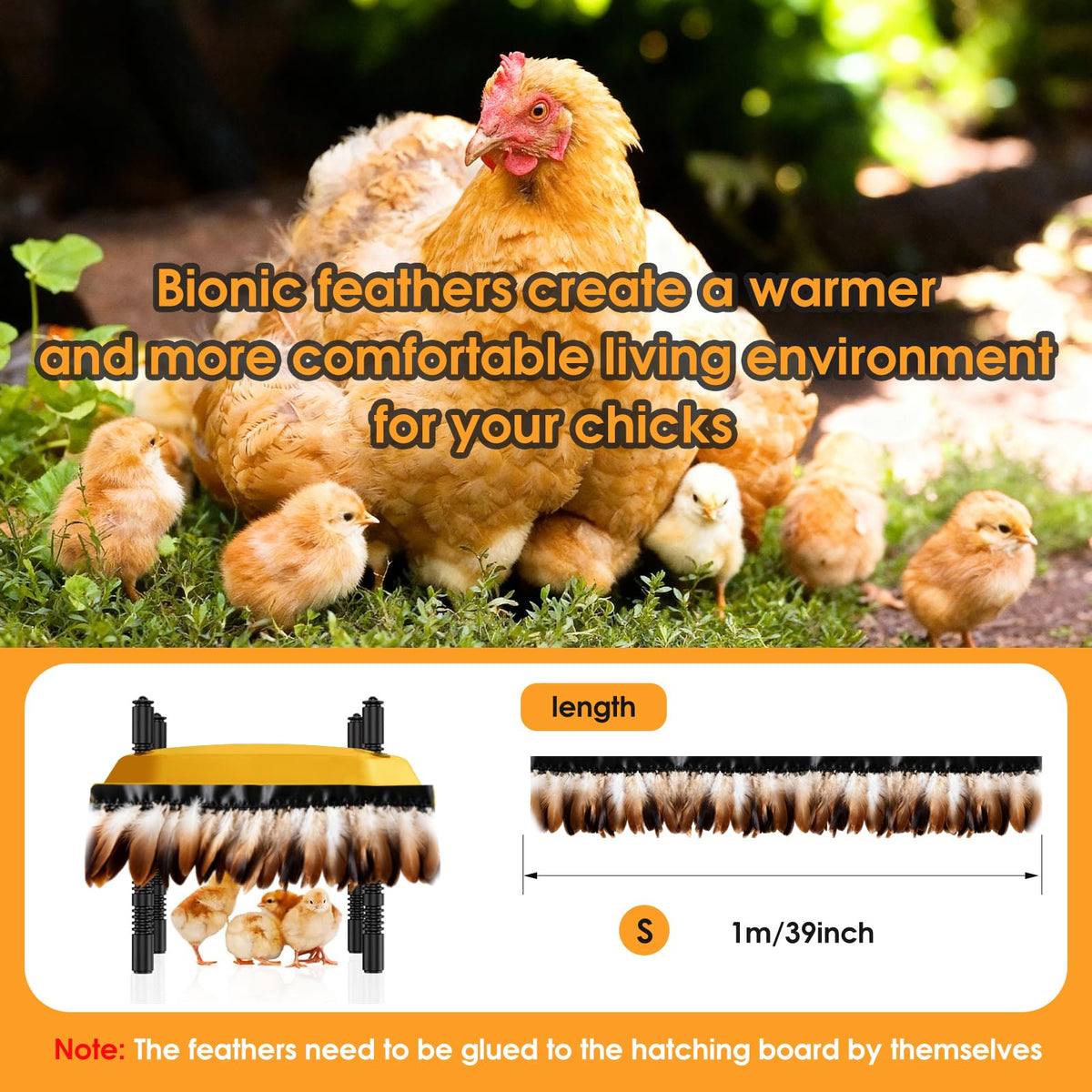 Bsemax edge feathers provide a comforting hideaway for chicks