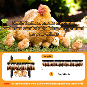 Bsemax edge feathers provide a comforting hideaway for chicks