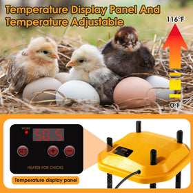 Bsemax roomy 10x10 surface supports 10–15 chicks with space