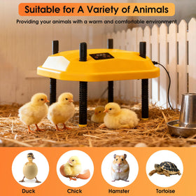 Bsemax versatile heater for chicks, quail, and ducklings in coops
