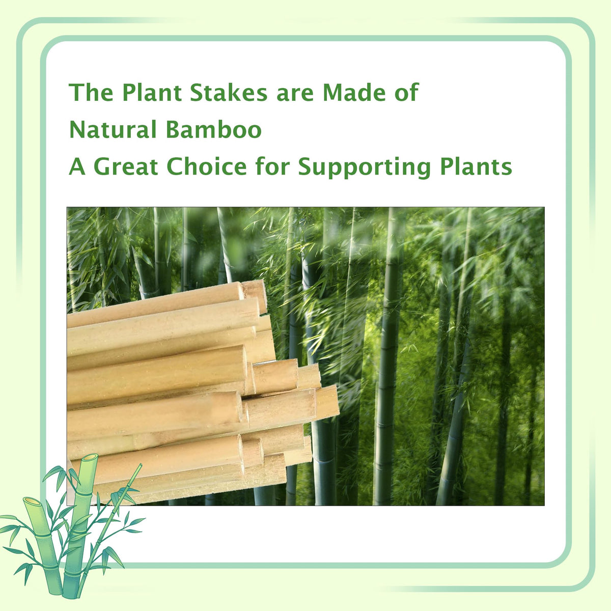 BSMOULFA 25-pack garden stakes keep multiple plants upright and organized.
