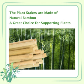 BSMOULFA 25-pack garden stakes keep multiple plants upright and organized.