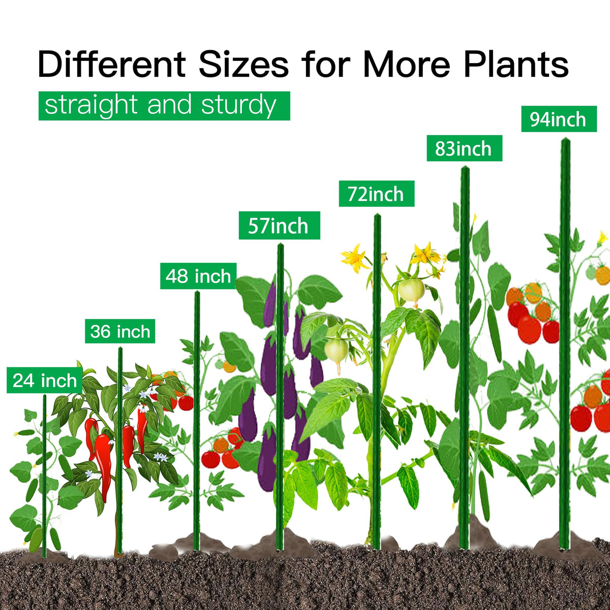 BSMOULFA bean vine stake provides vertical support