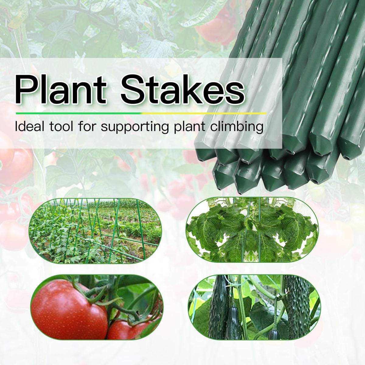 BSMOULFA cucumber-support stake aids steady vines and harvests