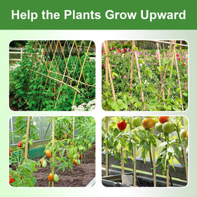 BSMOULFA multi-purpose stakes double as markers or DIY garden fencing ideas.