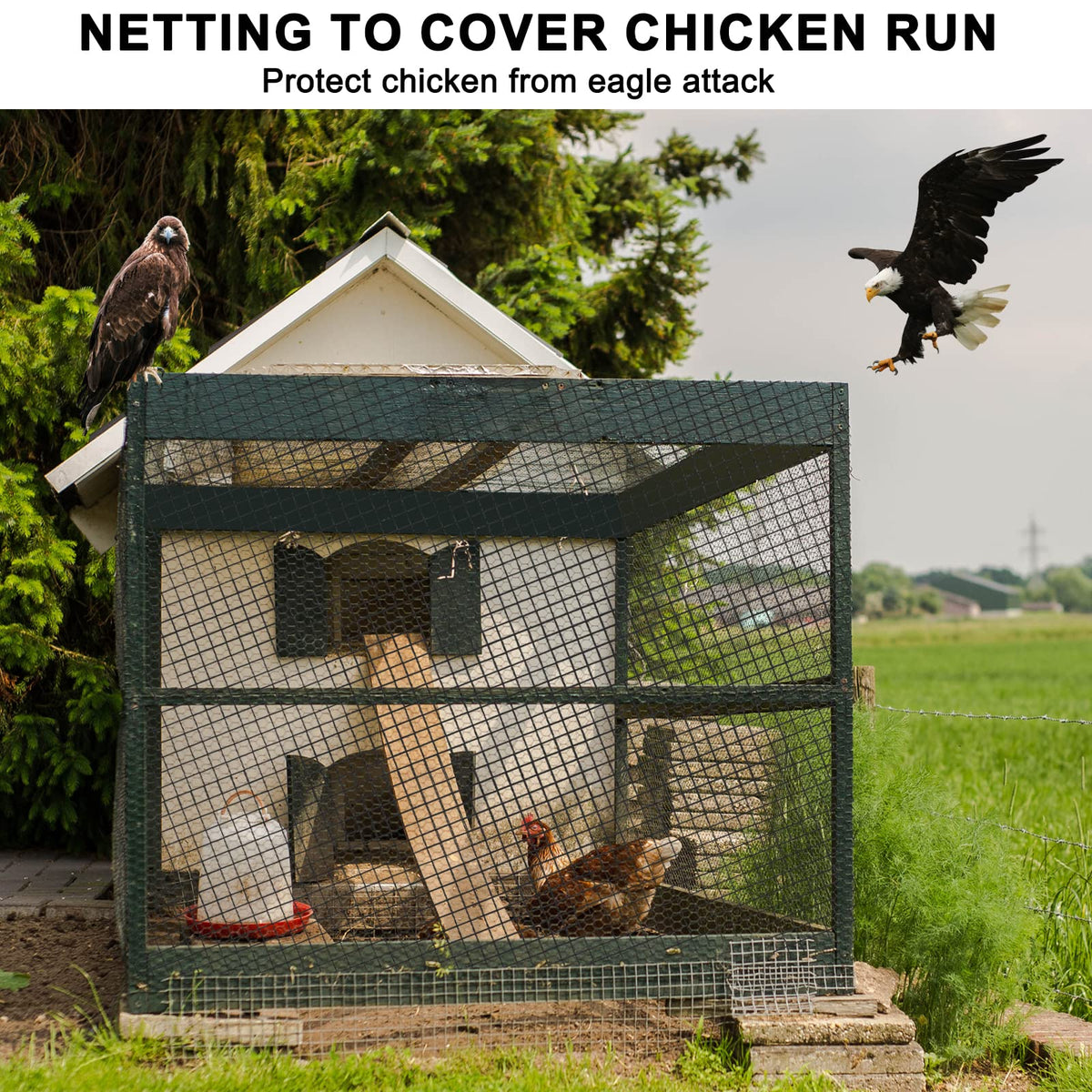 BSTPCOO chicken coop roof netting secures enclosure from birds.