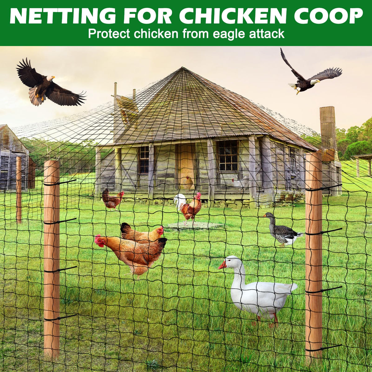 BSTPCOO fruit tree netting prevents birds from reaching ripening fruit.