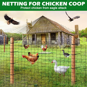 BSTPCOO fruit tree netting prevents birds from reaching ripening fruit.