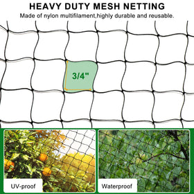 BSTPCOO garden netting for fruit trees protects harvests while airflow remains.
