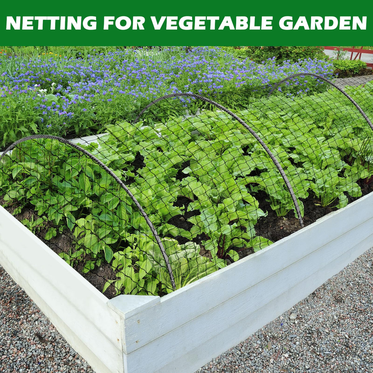 BSTPCOO garden netting protects tomatoes and blueberries in a home garden.