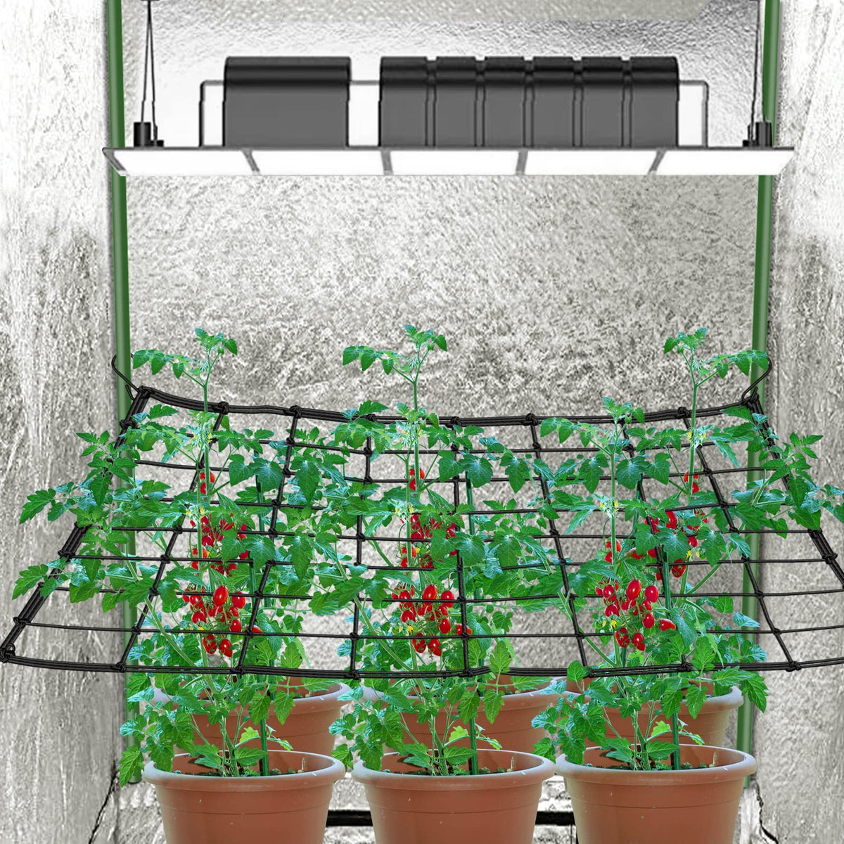 BSTPCOO Scrog Net 2x2 trellis grid closeup shows sturdy elastic grid.