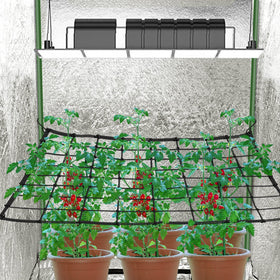 BSTPCOO Scrog Net 2x2 trellis grid closeup shows sturdy elastic grid.