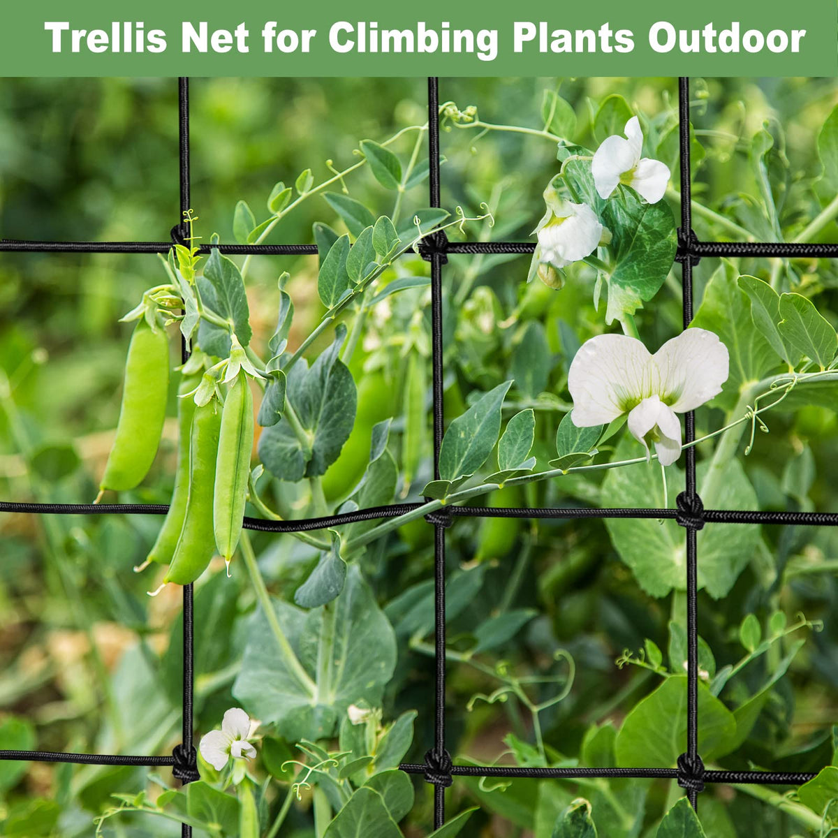BSTPCOO Scrog Net flexible grid adapts to tent height.