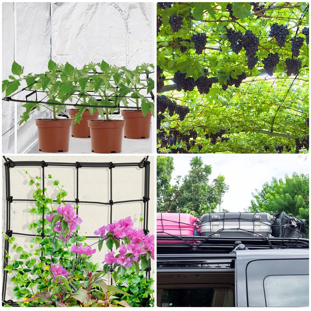 BSTPCOO Scrog Net heavy duty elastic assembly highlights durable construction.