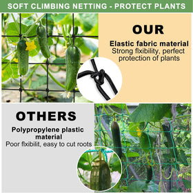 BSTPCOO Scrog Net suitable for indoor and outdoor plant growth.