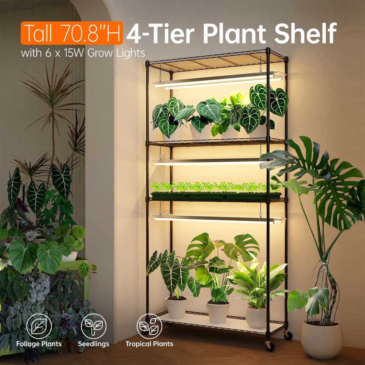 Bstrip 4-tier frame highlights sturdy construction for seedlings and tropical plants.