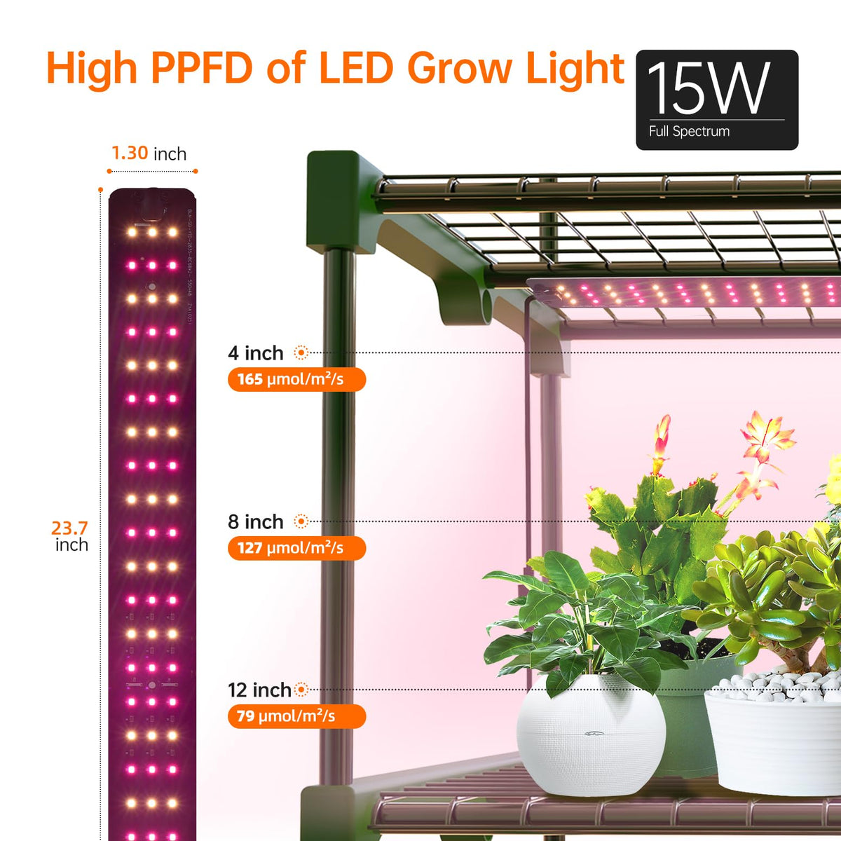 Bstrip adjustable shelves and tool-free setup simplify arranging seed trays.