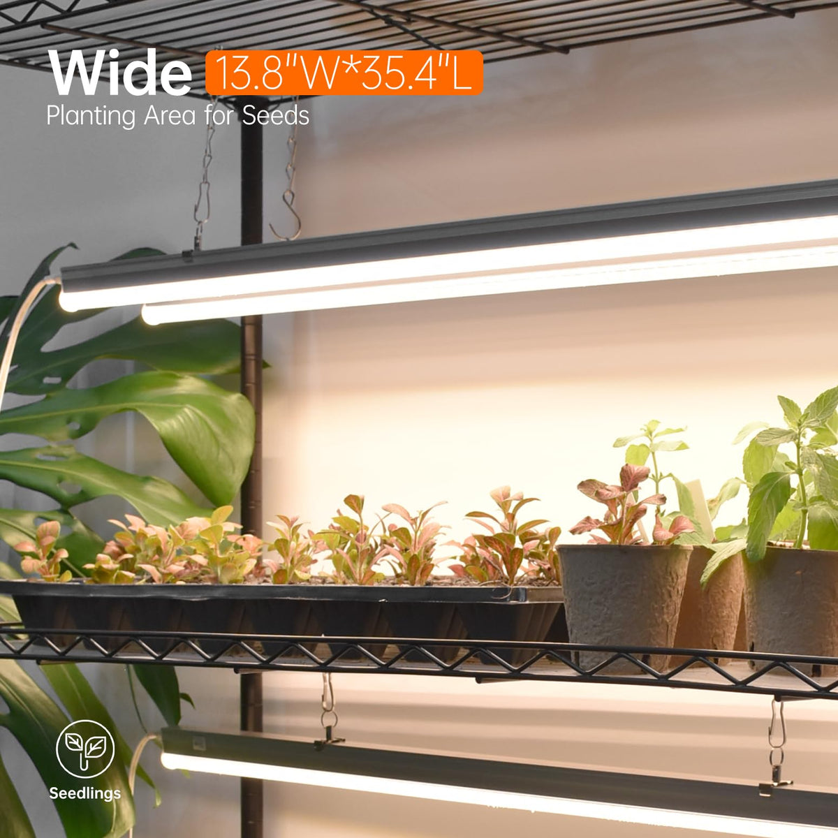 Bstrip individual light controls tailor brightness per shelf for precision care.