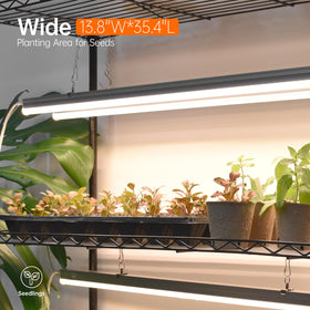 Bstrip individual light controls tailor brightness per shelf for precision care.