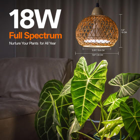 Bstrip full-spectrum LED close-up showing vibrant plant colors.