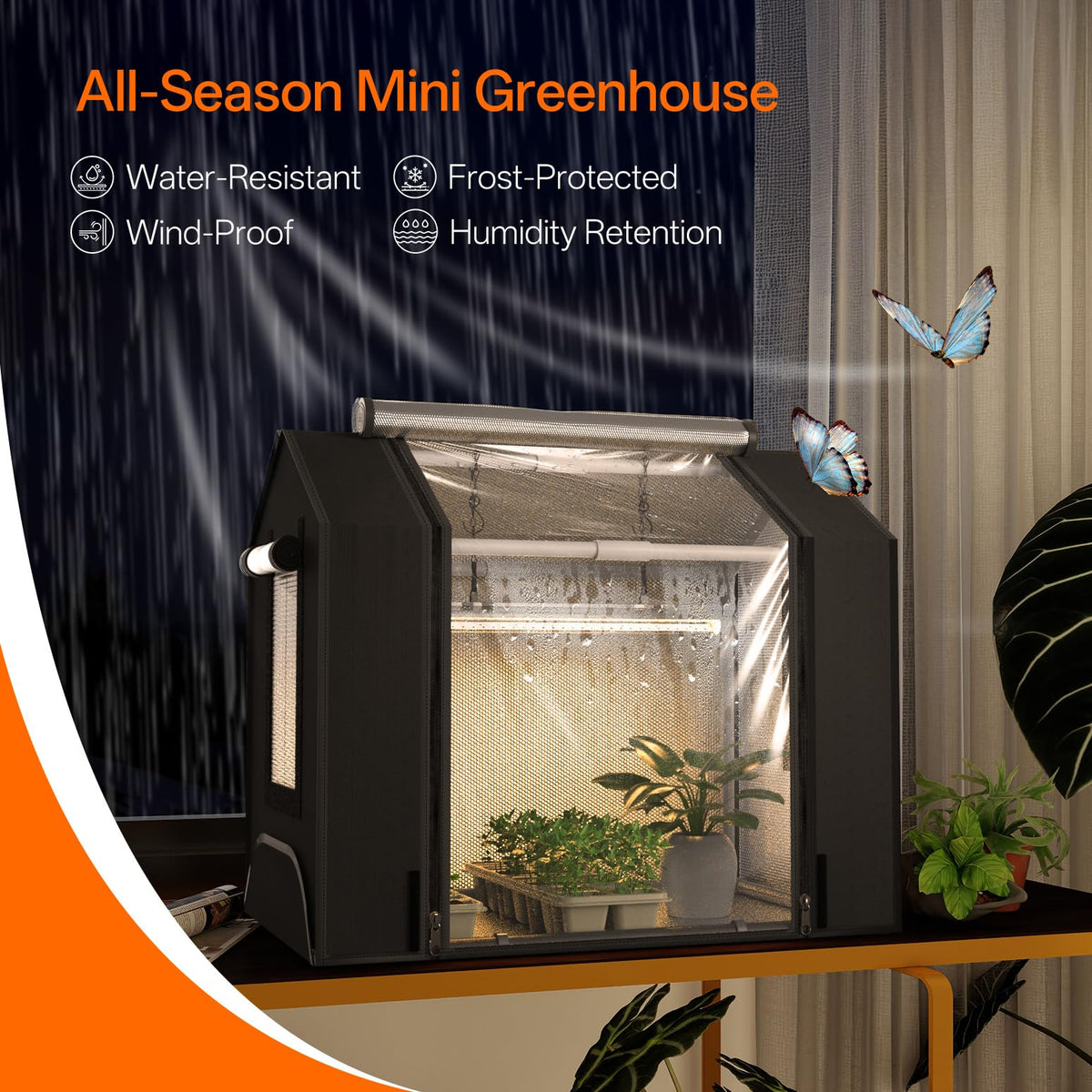 Bstrip GM3 small greenhouse tent for simple, quick assembly.
