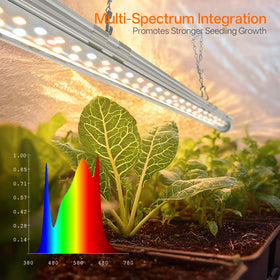 Bstrip GM3 timer enables automatic day-night light cycles for consistency.