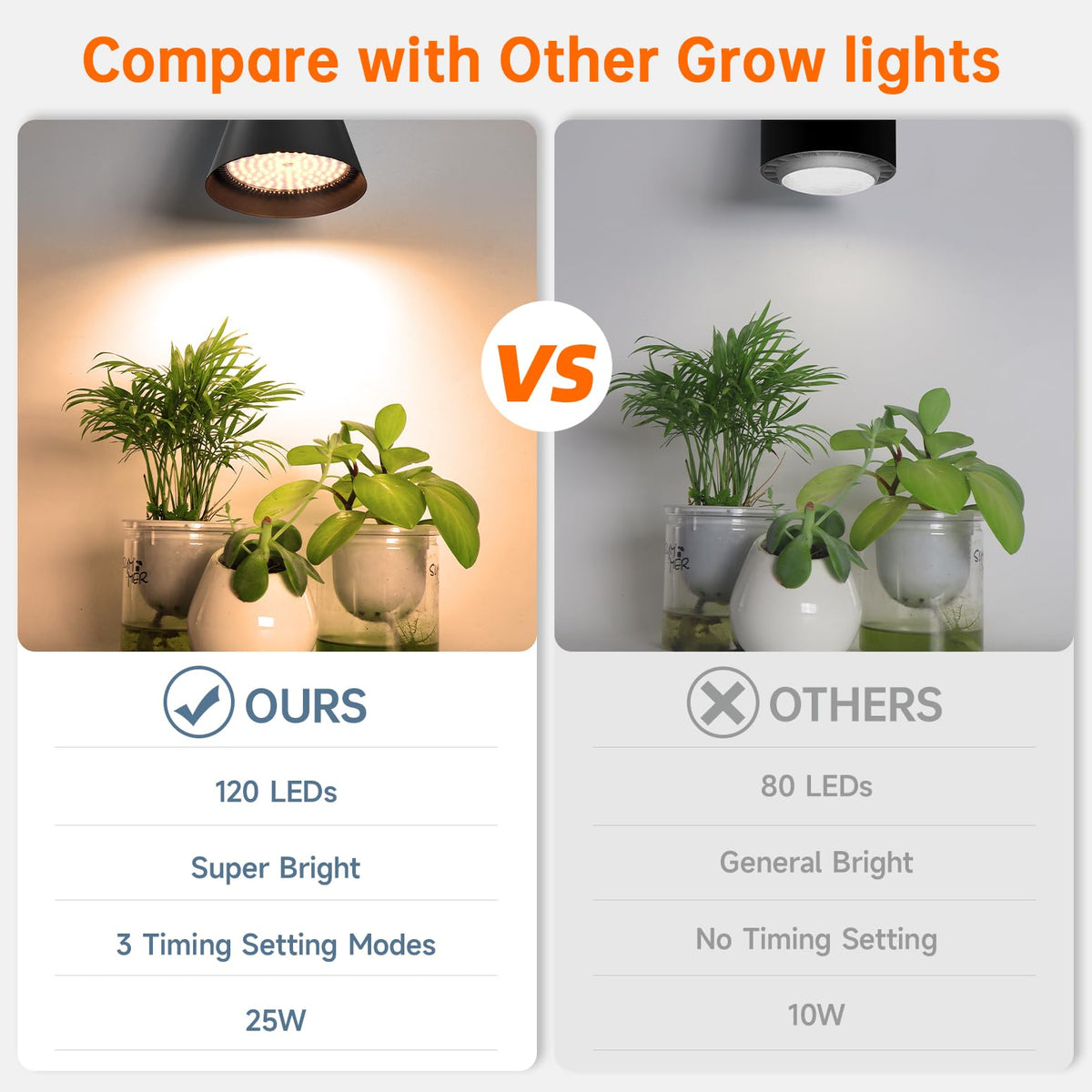 Bstrip greenhouse setup with grow light demonstrates elevated plant growth potential