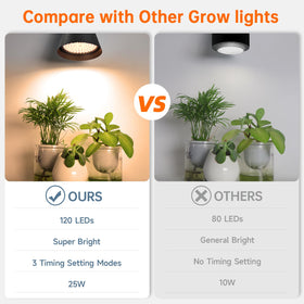 Bstrip greenhouse setup with grow light demonstrates elevated plant growth potential