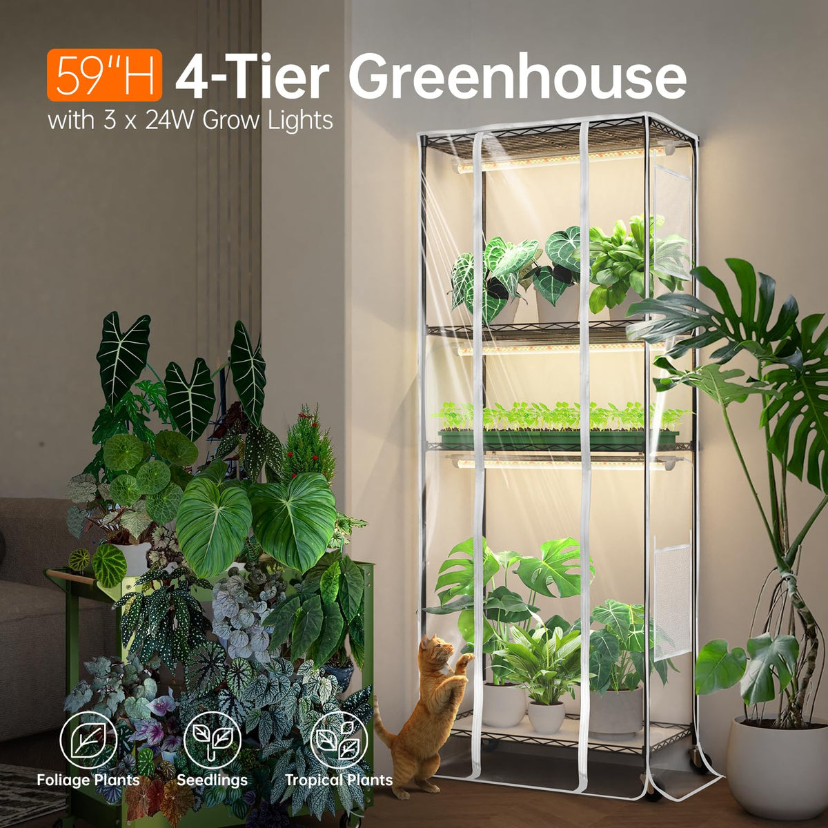 Bstrip greenhouse shelves and grow lights installed for organized indoor gardening
