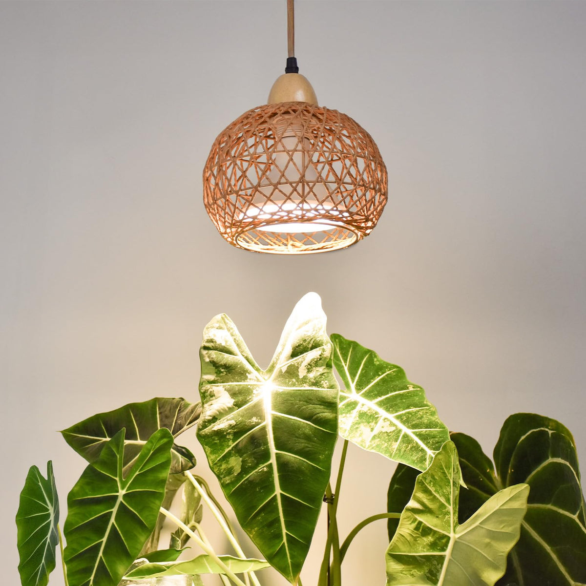 Bstrip hanging grow light assembly over indoor plants for year-round growth.