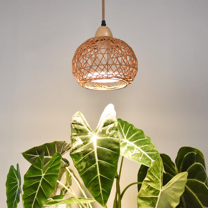 Bstrip hanging grow light assembly over indoor plants for year-round growth.