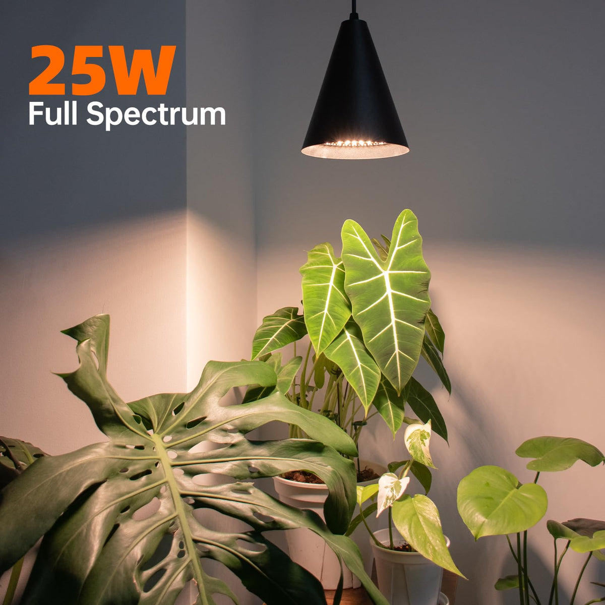 Bstrip hanging grow light ceiling clips installation demonstrates easy mounting