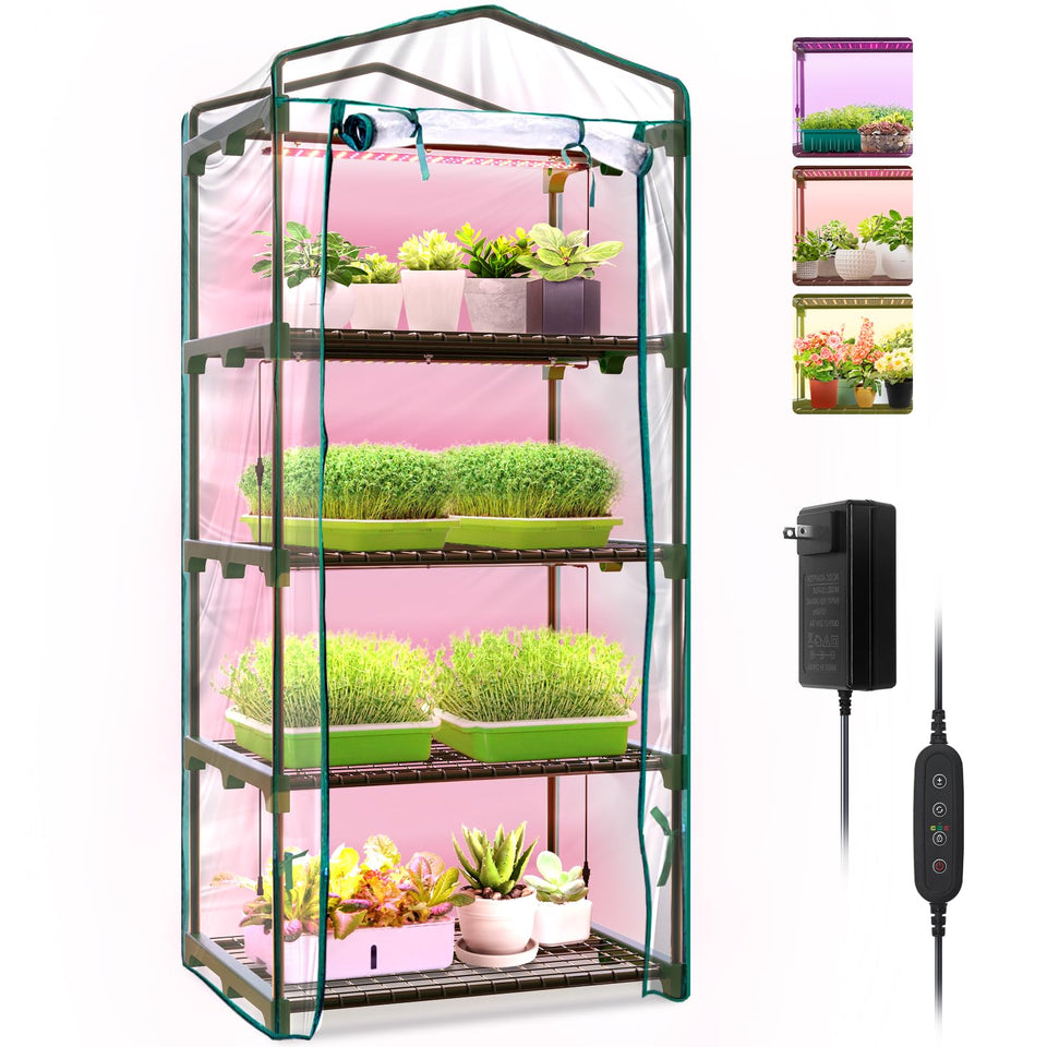 Bstrip indoor greenhouse four-tier frame supports seed trays for germination and display.