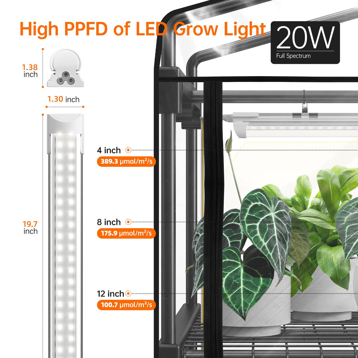 Bstrip Indoor Greenhouse roll-up door for easy access and observation.
