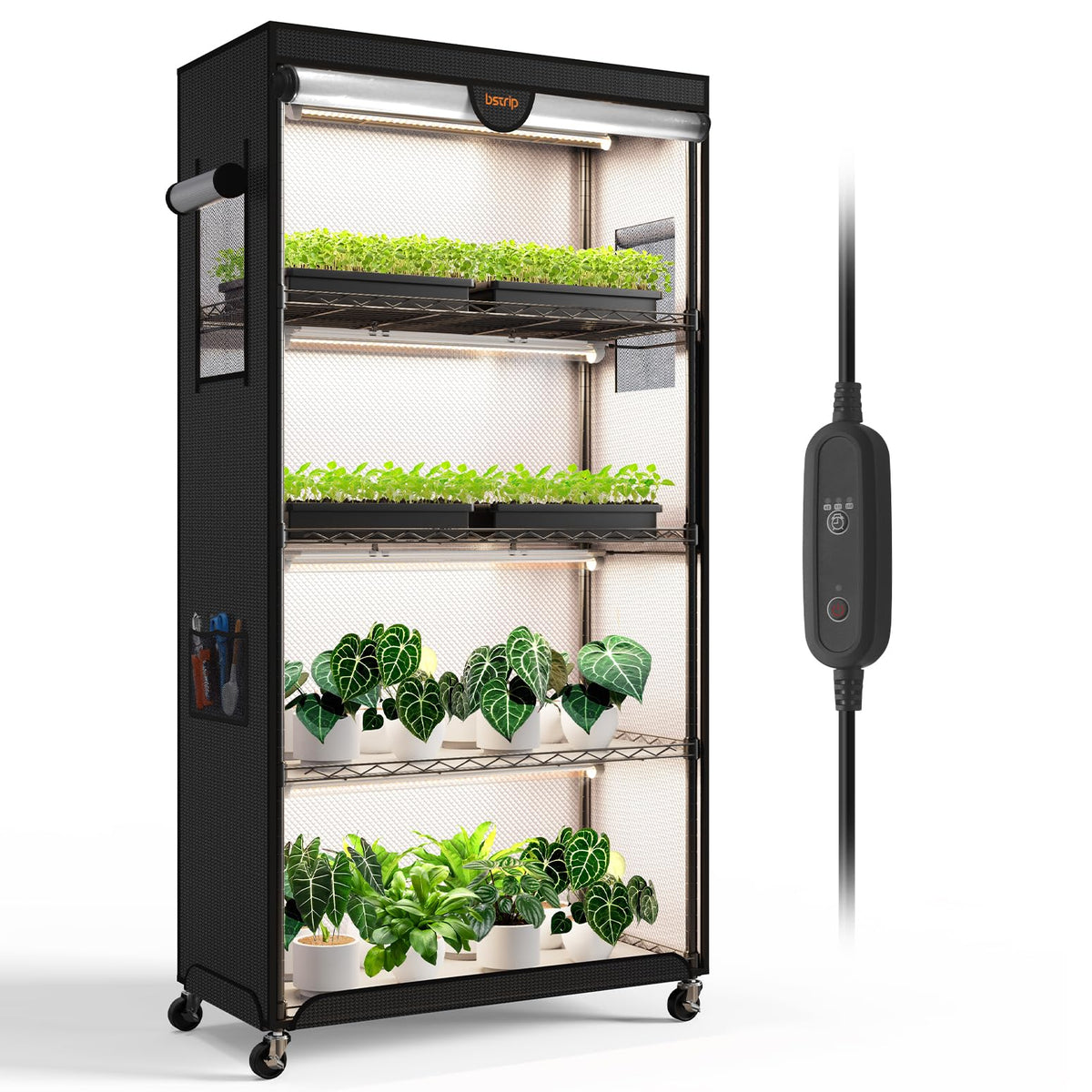 Bstrip indoor greenhouse setup highlights four-tier shelves for seedlings