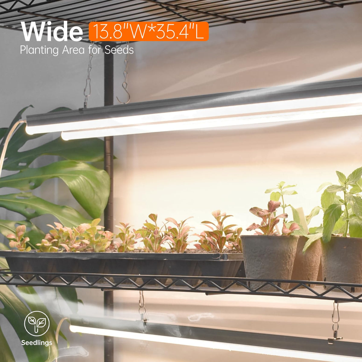 Bstrip Indoor Greenhouse side ventilation curtains maintain airflow and humidity.