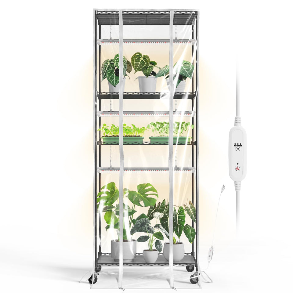 Bstrip indoor greenhouse with grow light in a compact setup for seedlings and microgreens