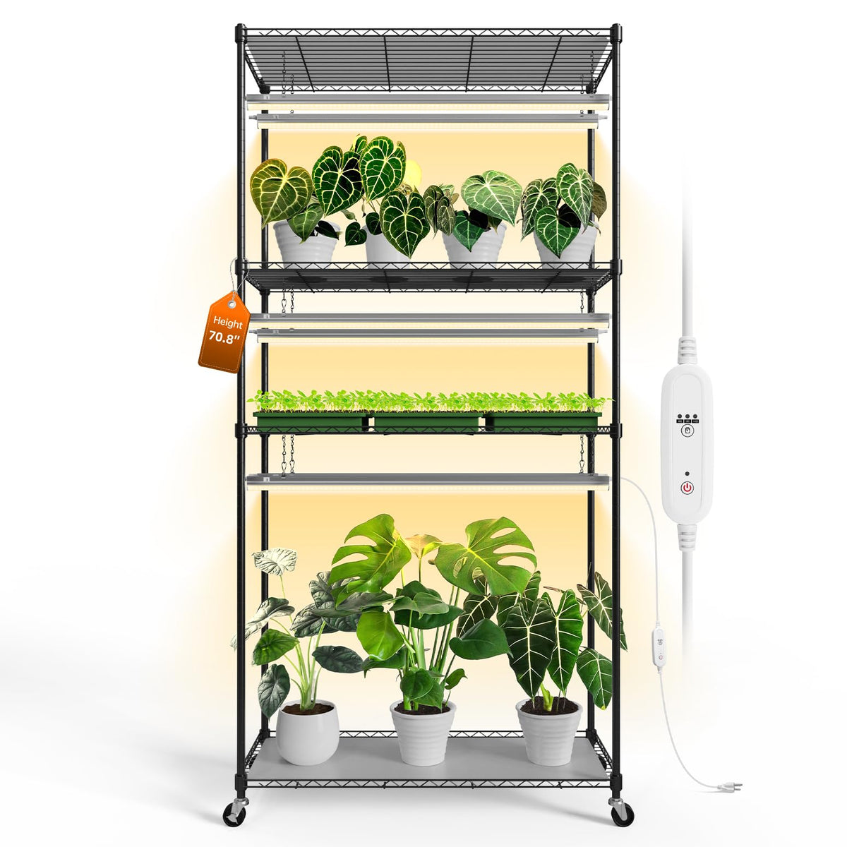 Bstrip plant shelf with grow lights setup shows efficient indoor gardening and space organization.