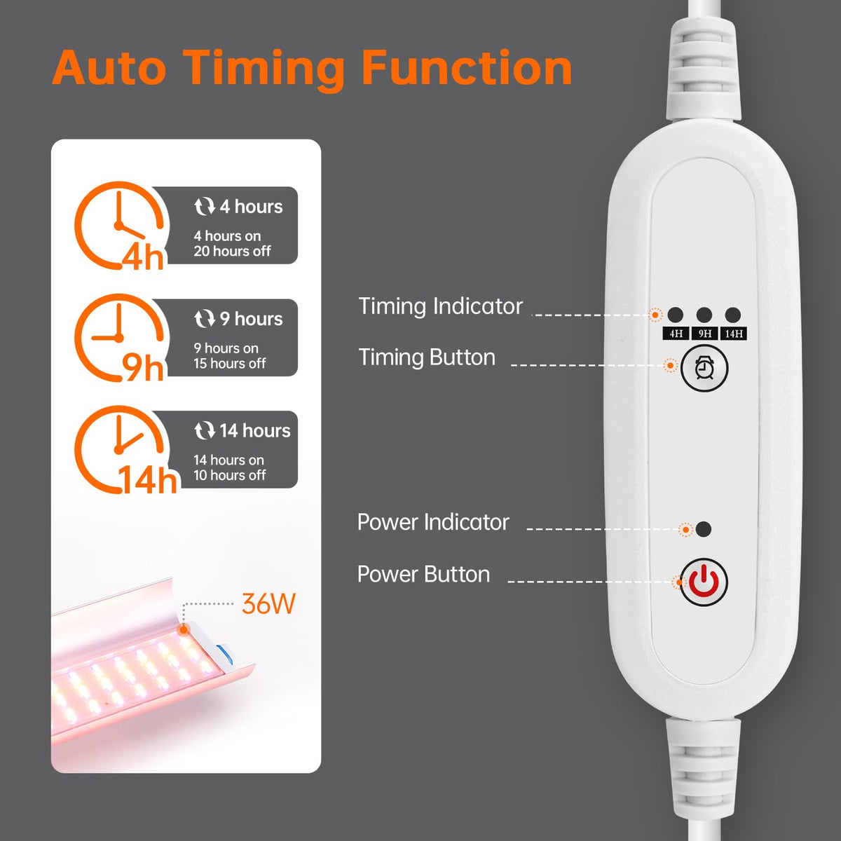 Bstrip plant stand timer modes display illustrating auto on-off scheduling.