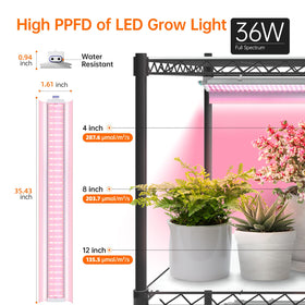 Bstrip plant stand wheels emphasize easy movement and secure locking.