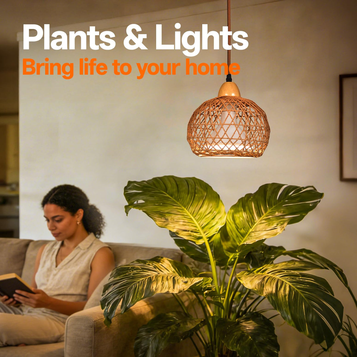 Bstrip plants thriving under indoor light setup for growth.