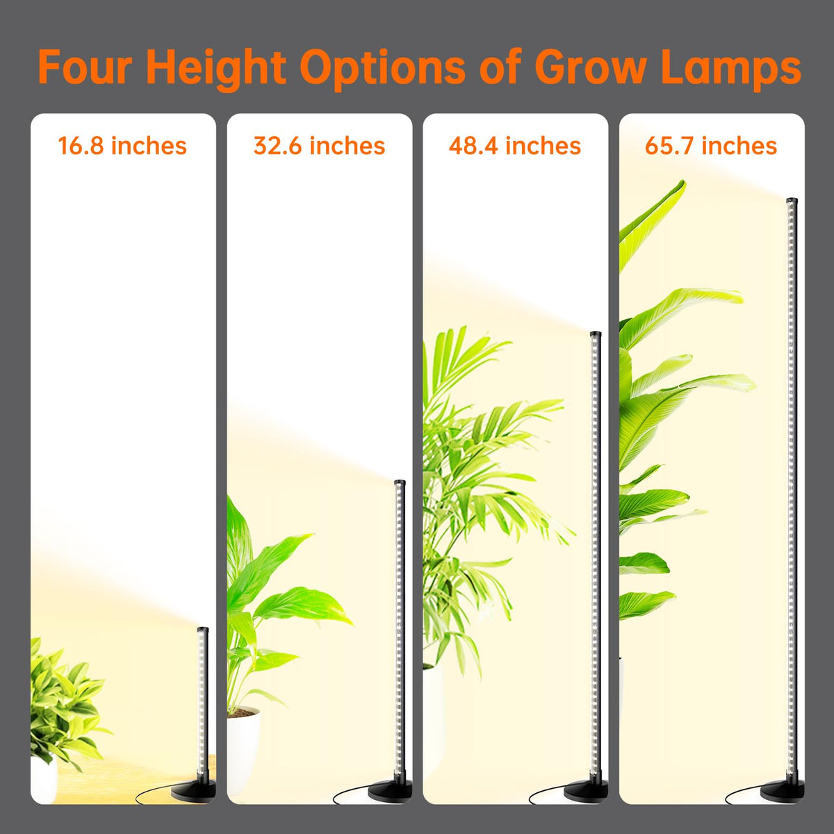 Bstrip side illuminated design lights plants from multiple angles.