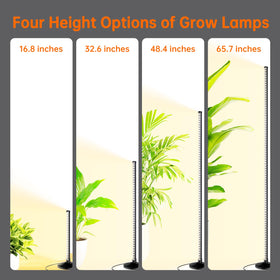 Bstrip side illuminated design lights plants from multiple angles.