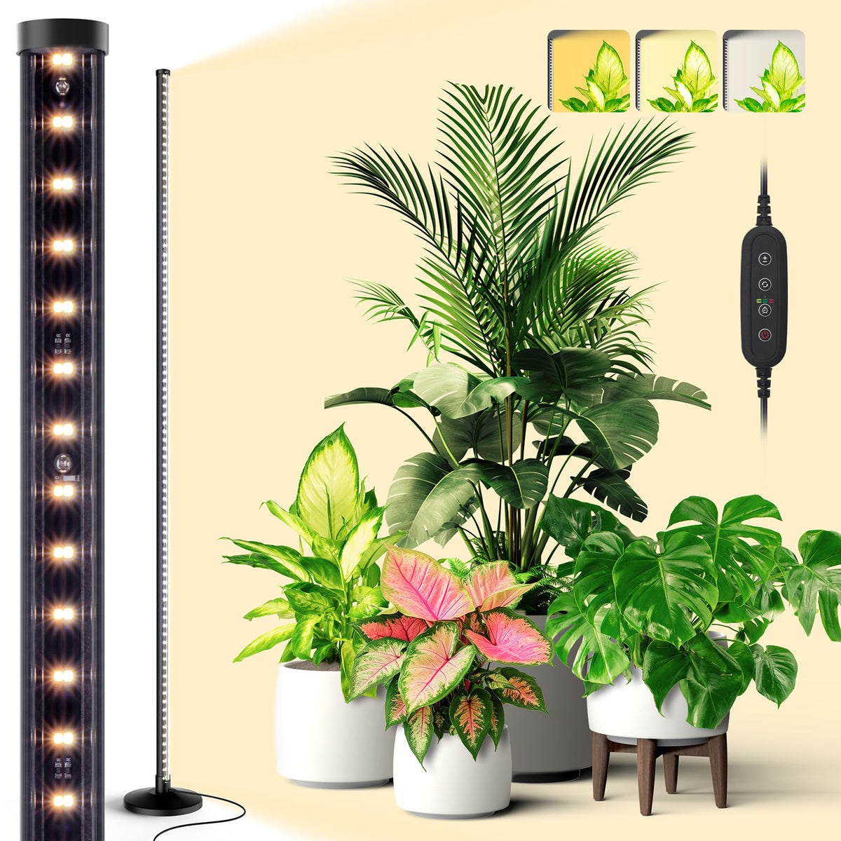 Bstrip standing grow light base setup provides stable indoor lighting for plants.